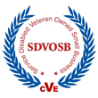 Veteran Owned Small Business